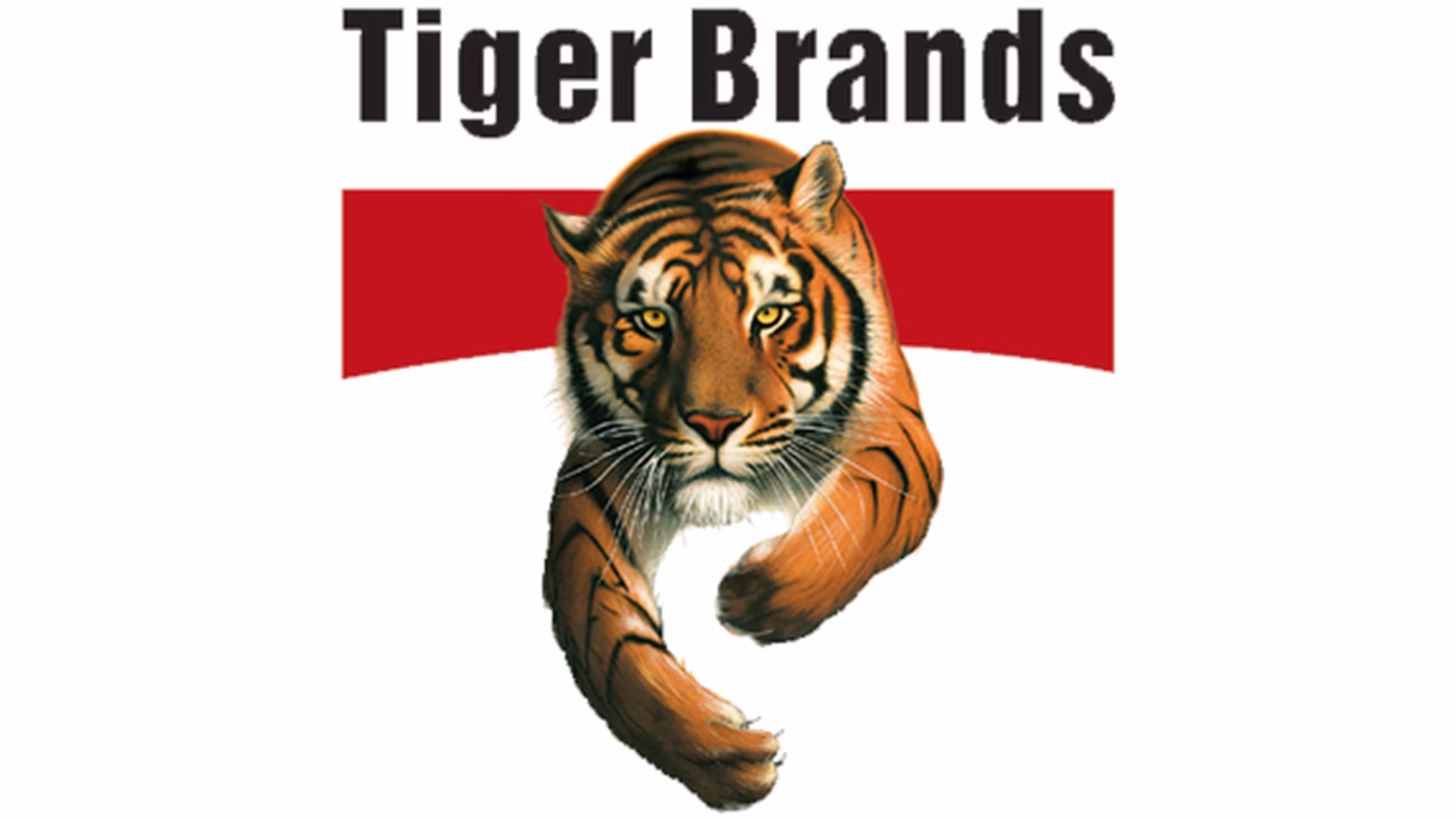 Sicon Group client logo